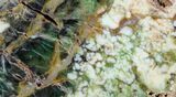 Polished Green-White Opal Slab - Western Australia #95229-1